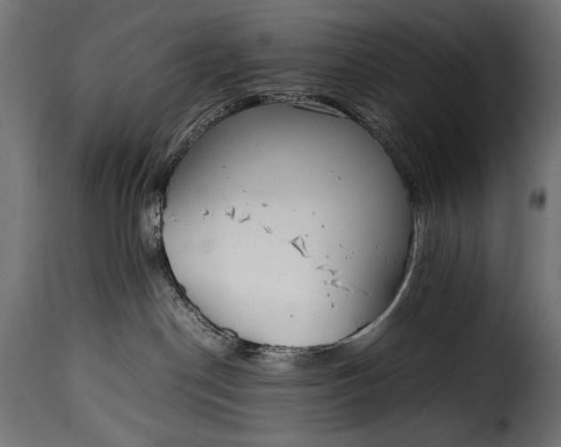 X0000115620190200911241632