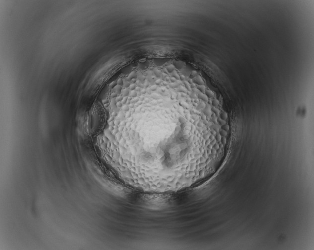 X0000115620191200911241632