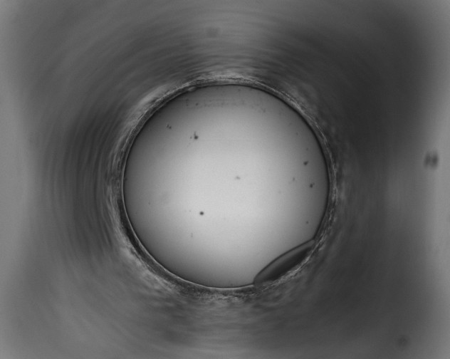 X0000115620193200911241632