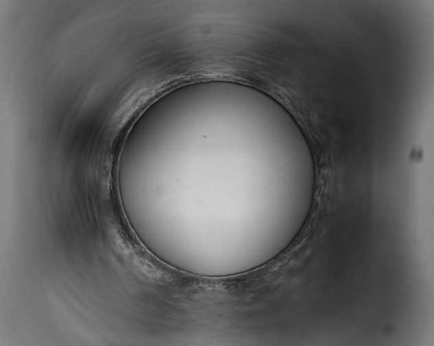 X0000115620194200911241632