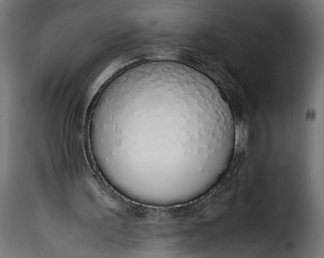 X0000115620195200911241632