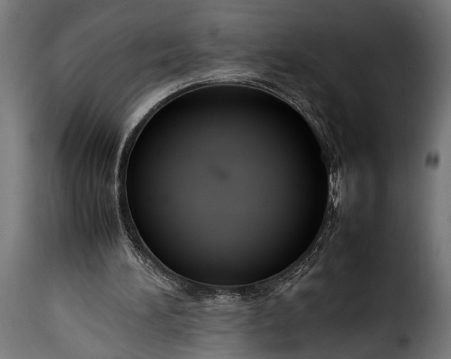 X0000115620196200911241632