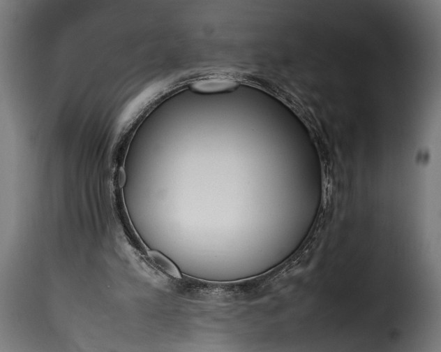 X0000115620197200911241632