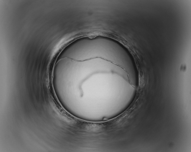 X0000115620198200911241632