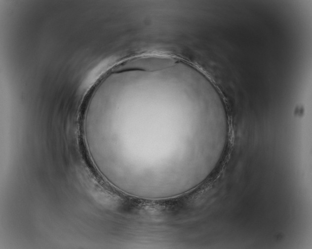 X0000115620199200911241632