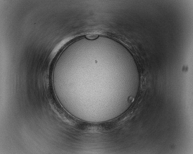 X0000115620200200911241632