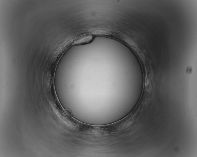 X0000115620201200911241632