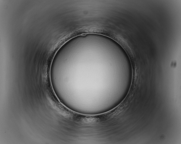 X0000115620202200911241632