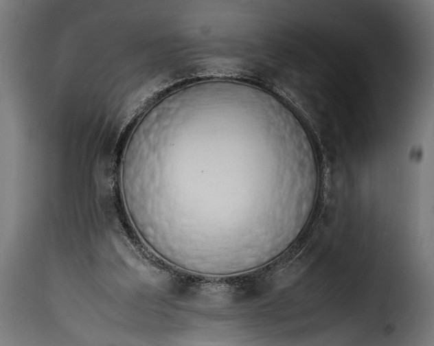 X0000115620203200911241632