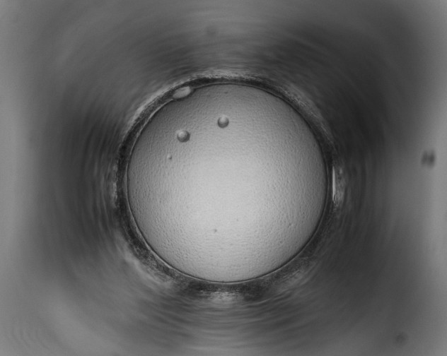 X0000115620204200911241632