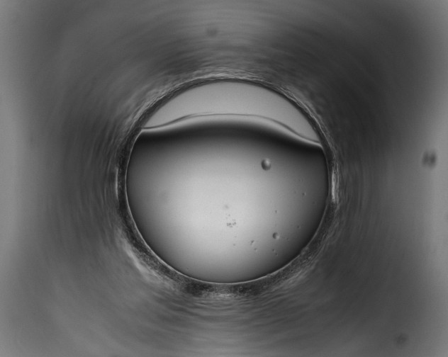 X0000115620205200911241631