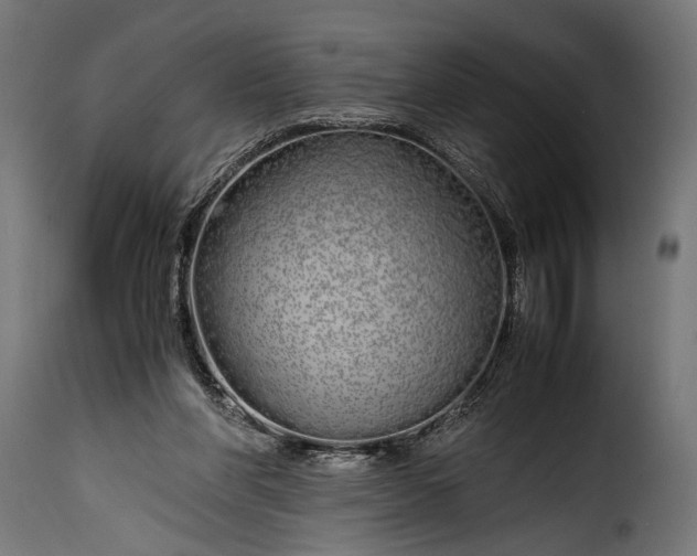 X0000115620206200911241631