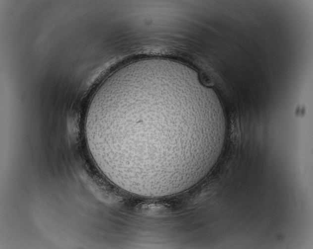 X0000115620208200911241631