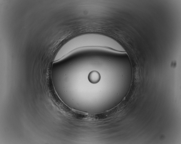 X0000115620211200911241631