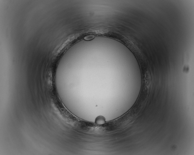 X0000115620212200911241631