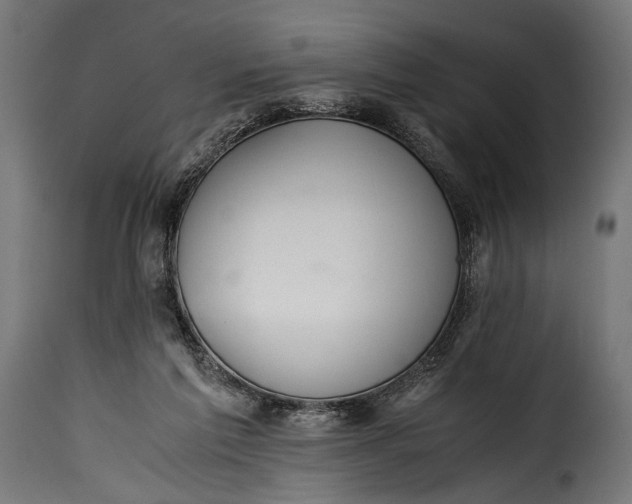 X0000115620213200911241631