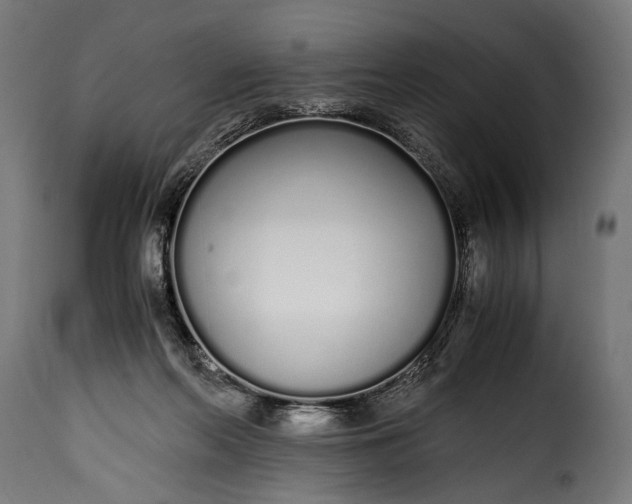 X0000115620214200911241631