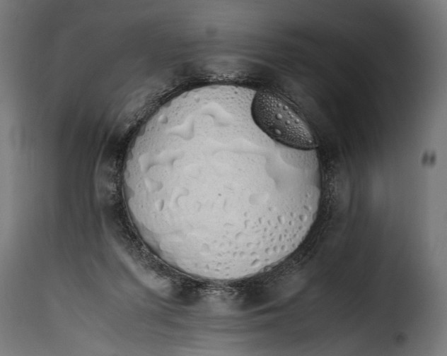 X0000115620215200911241631