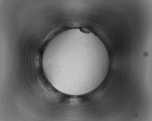 X0000115620216200911241631