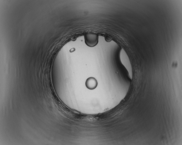 X0000115620217200911241631