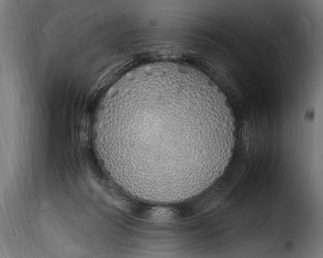 X0000115620218200911241631