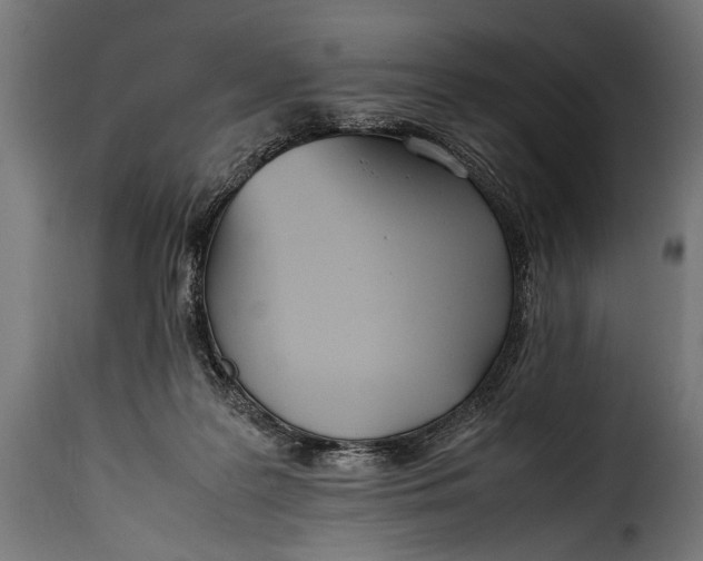 X0000115620219200911241631