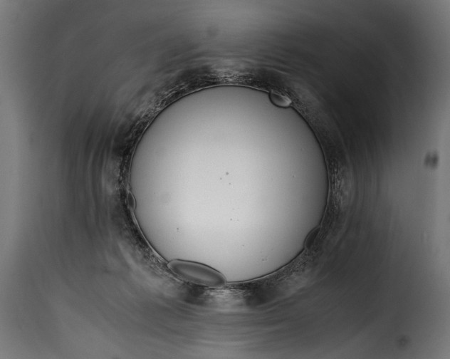 X0000115620221200911241631