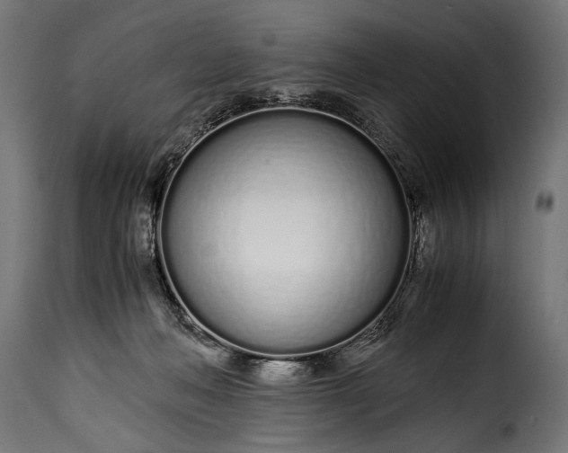 X0000115620222200911241631