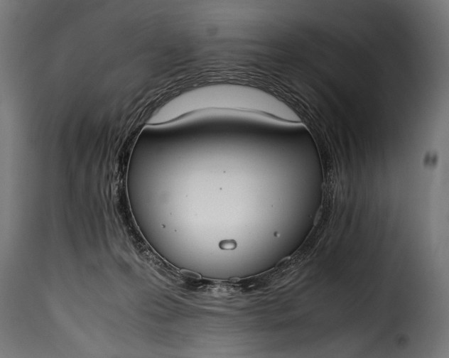 X0000115620223200911241631