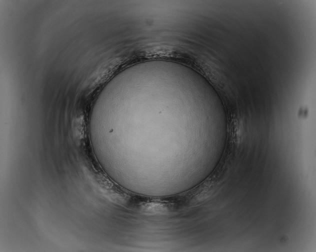 X0000115620224200911241631