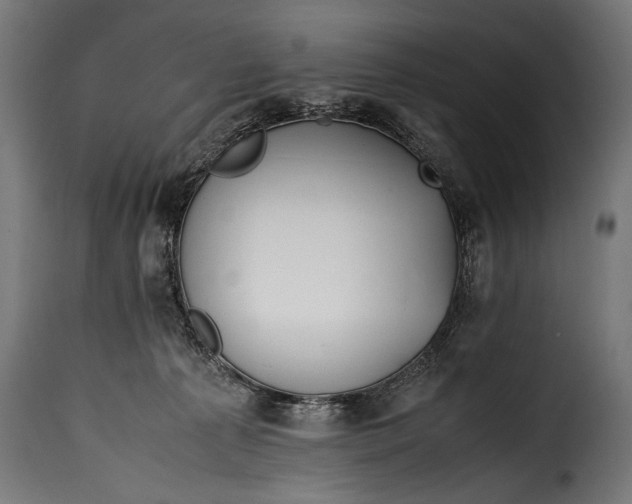 X0000115620225200911241631