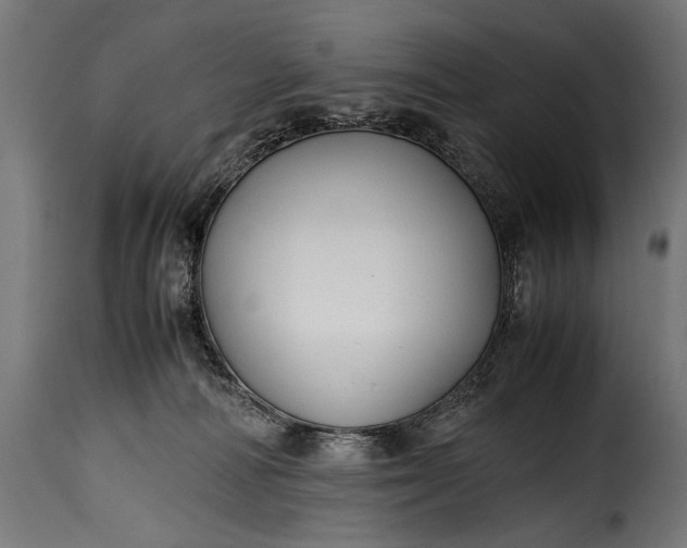 X0000115620226200911241631