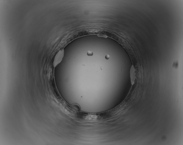 X0000115620227200911241631