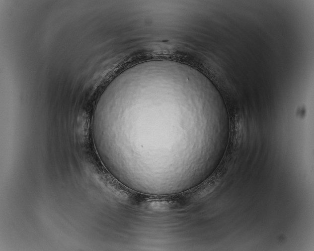 X0000115620228200911241631