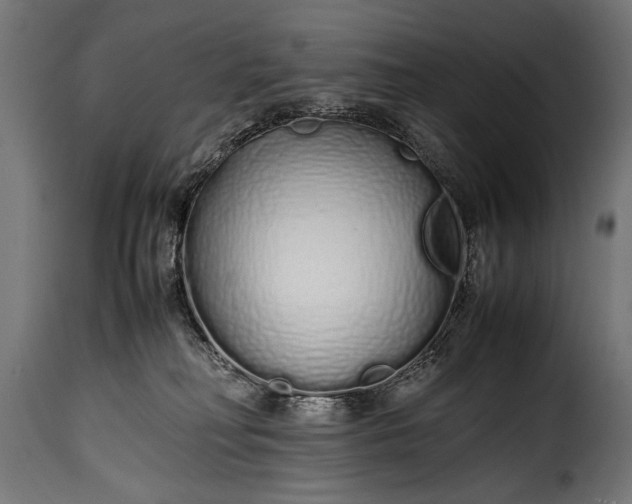 X0000115620230200911241631