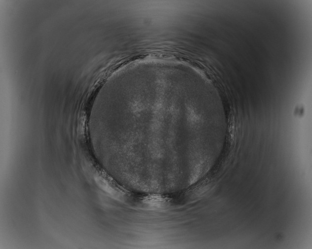 X0000115620231200911241631