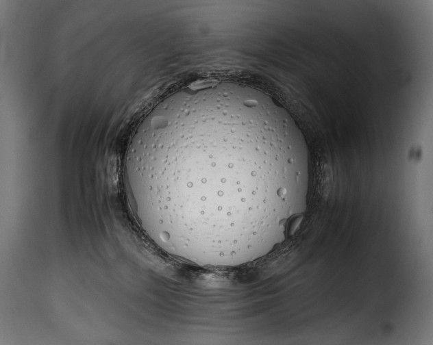 X0000115620232200911241631