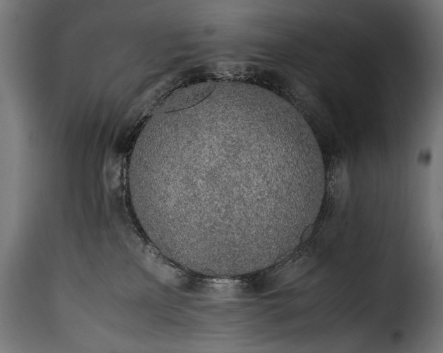 X0000115620233200911241631