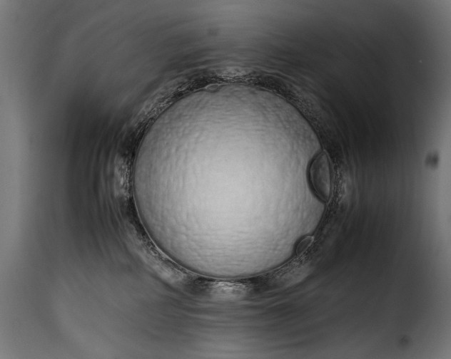 X0000115620234200911241631