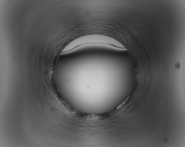 X0000115620235200911241631