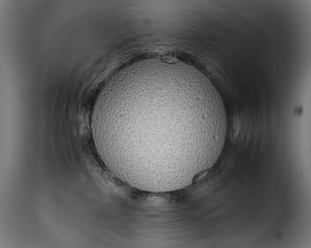 X0000115620236200911241631