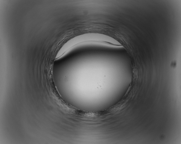 X0000115620237200911241631