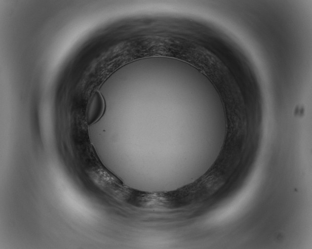 X0000115620239200911241631