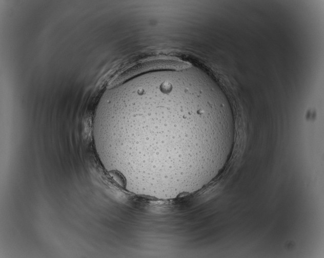 X0000115620240200911241631