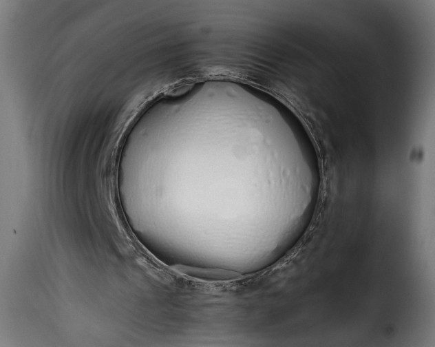 X0000115620241200911241630