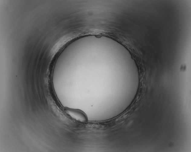 X0000115620242200911241630