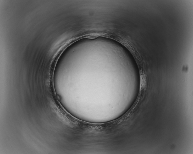 X0000115620243200911241630