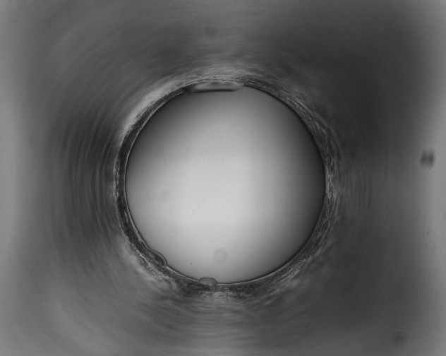 X0000115620244200911241630