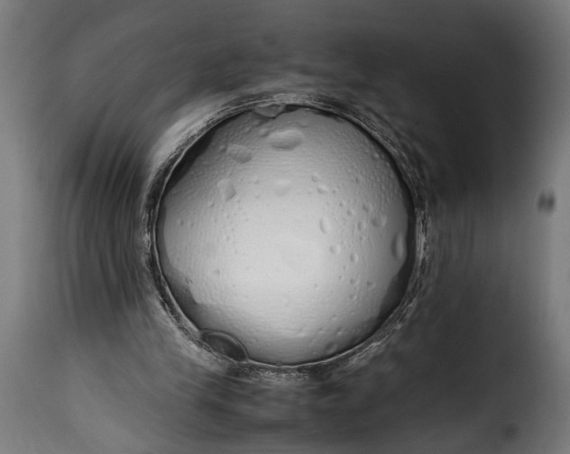 X0000115620245200911241630