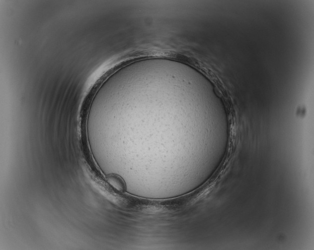 X0000115620246200911241630